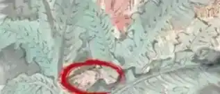 《玩梗高手》煮酒论英雄怎么过 《玩梗高手》煮酒论英雄怎么过